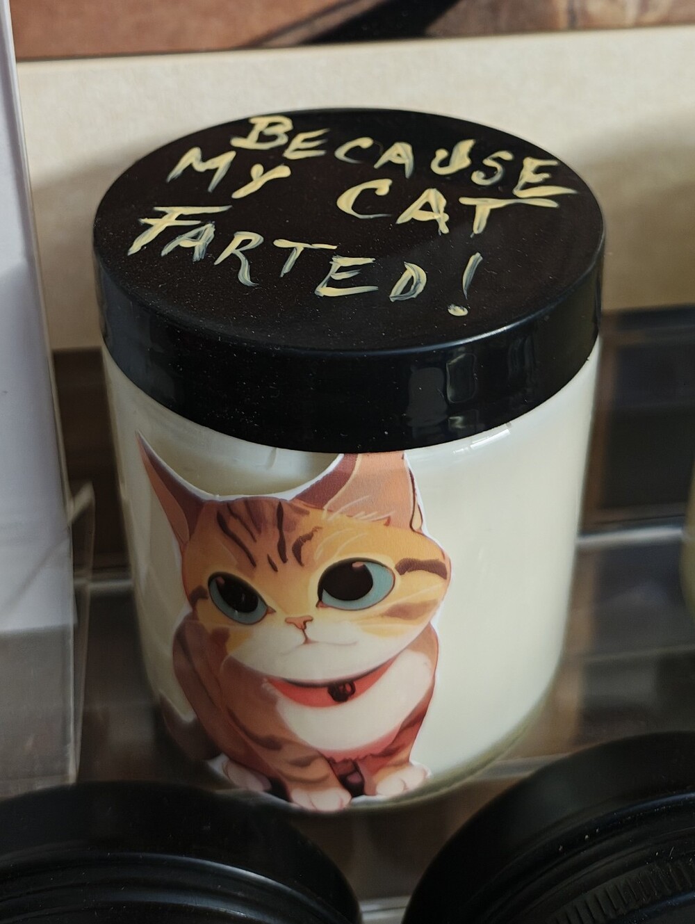 Handmade Candle - Cat Fart Candle